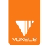voxel8