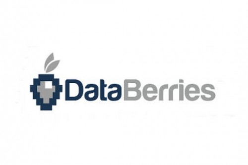 logo_databerries