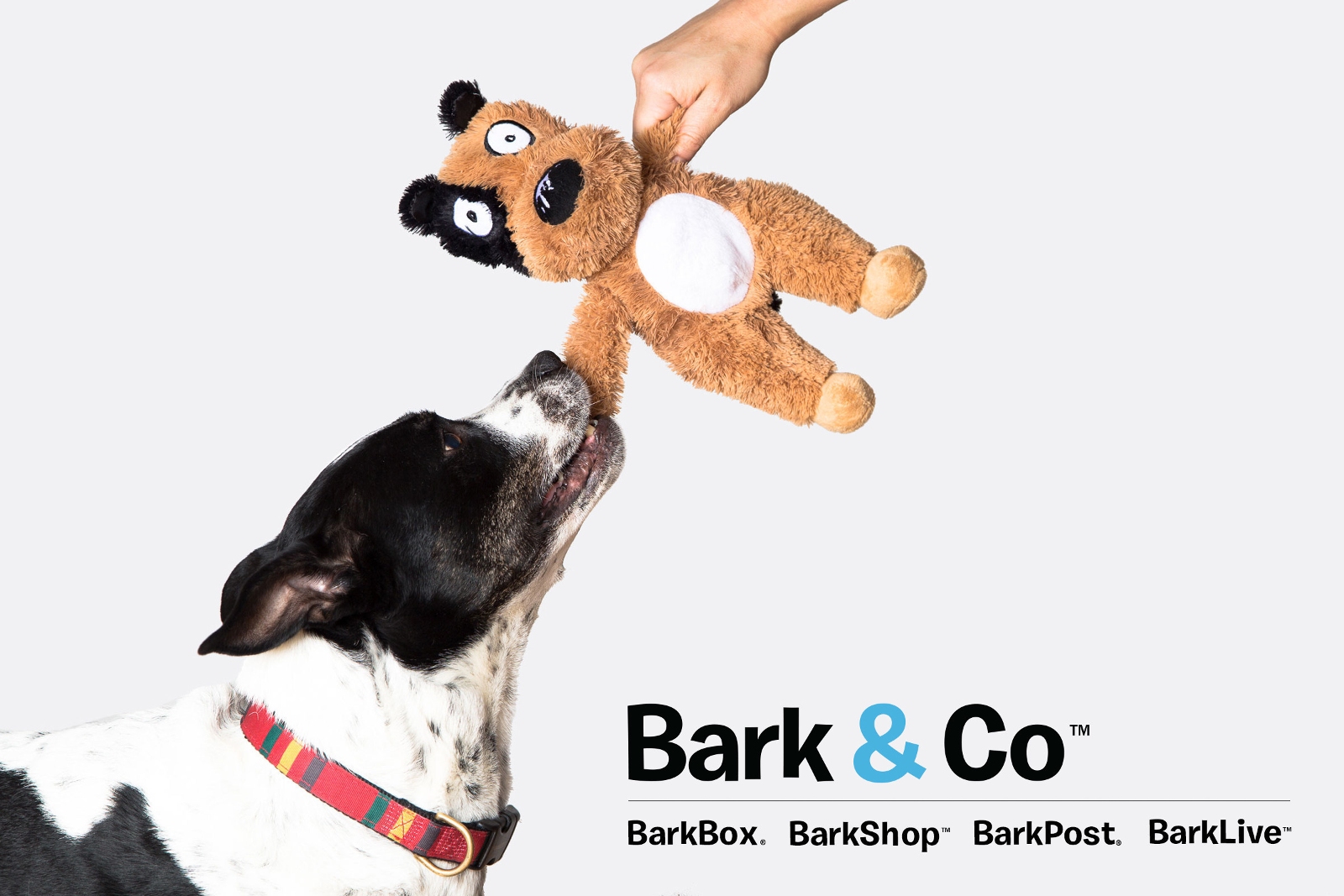 bark&co
