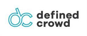 defined_crowd