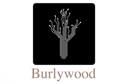 Burlywood