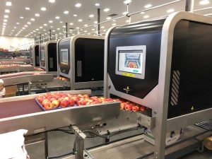 Robotics Plus - Aporo apple packer - 2