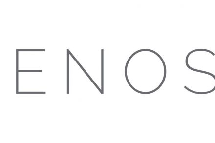 ENOSIX Logo