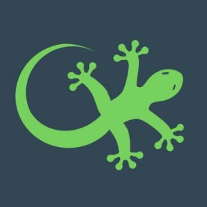 geckoengage