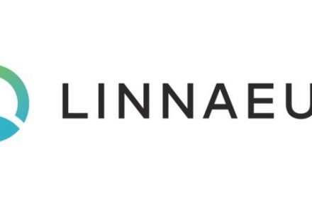Linnaeus Logo