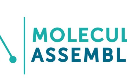 molecular assemblies