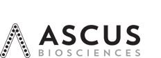 ascus