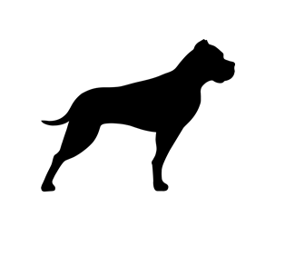 gp bullhound