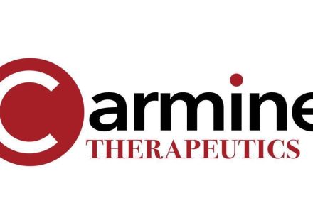 Carmine Therapeutics logo