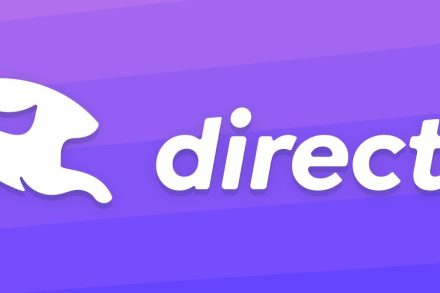 Directus logo