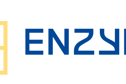 Enzyre-logo
