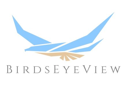 BirdsEyeView