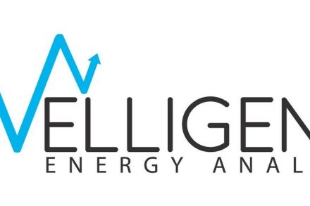 Welligence Energy Analytics logo